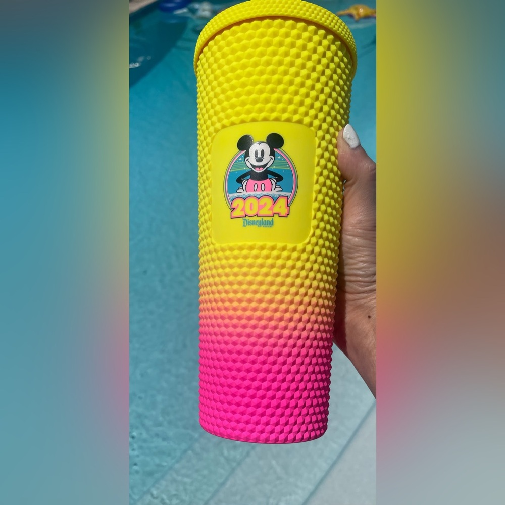 2024 Disney Starbucks Cup